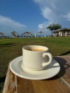 Lyra Resort & Spa - Ultra All Inclusive - 46