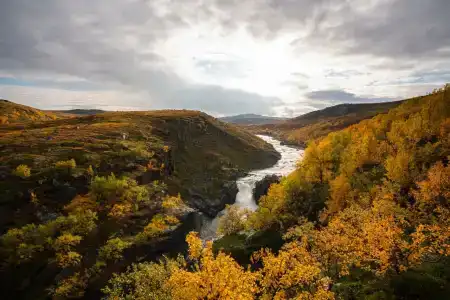 Олёнка лодж - 60