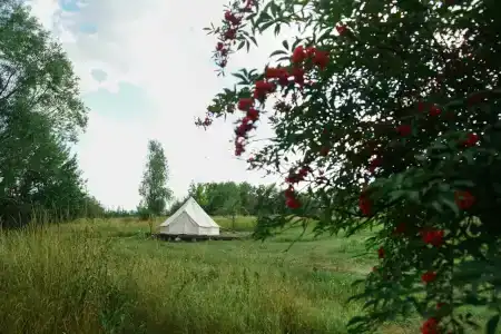 FamilyGlamp Куликово Поле - уютный семейный глэмпинг на берегу реки - 49