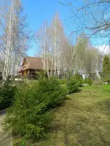 Молоково - 13