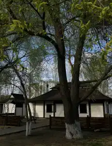 Макарди - 42