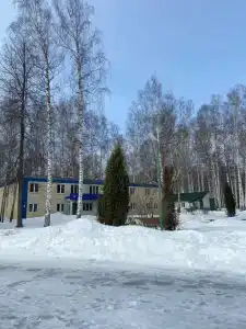 Березка - 46