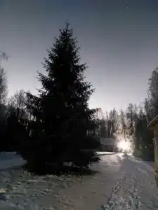 База отдыха у Игнойлы - 37