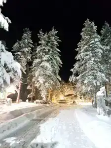 Семиозерье - 12