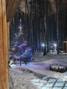 Русские бани - 20