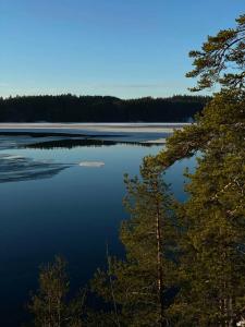 Villy Uley Karelia (Вили Улей Карелия) - 98