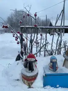 Два Мороза - 33