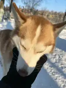 Озеро Снежное - 15
