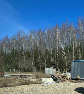 Хвойный Лес - 90