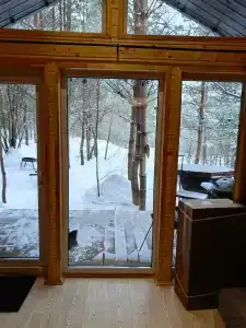 Сосны. Пространствие - 79