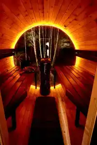 Betula - 27
