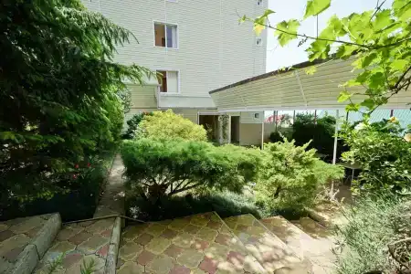 Пальмира - 13