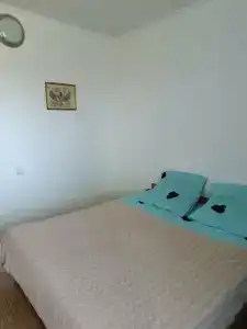 Вирджиния - 20