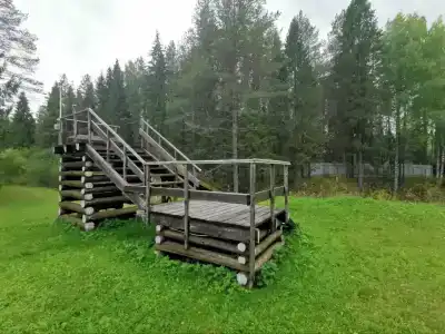 Сосновые шишки - 49