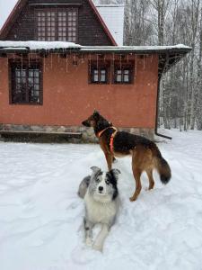 Уникальный творческий дом в Волоховщине - 25