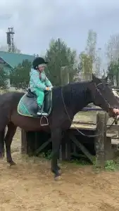 Дом в Бородино - 6