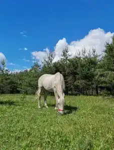 Круиз Вилладж - 58