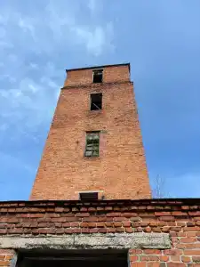 Лён - 24