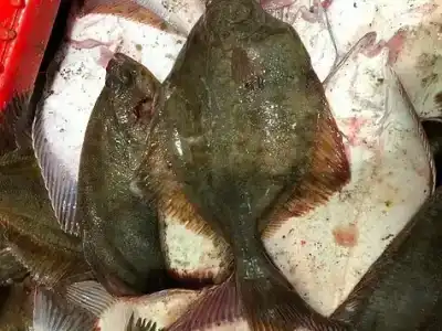 Морской рай - 22