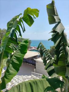 Utopia Beach Club - 46