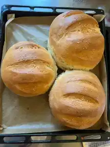 Турдагестан - 26