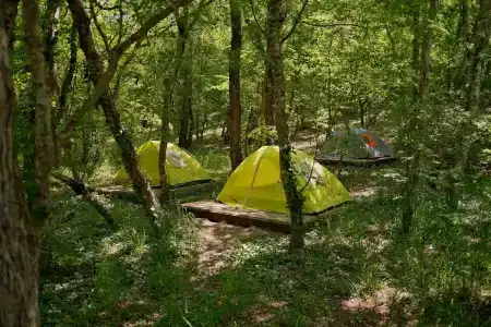 Туристический лагерь Абрау-Дюрсо - 14