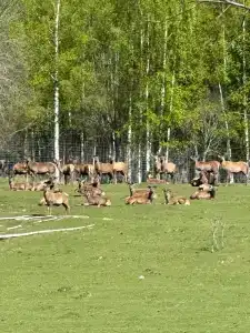 ЭкоМир - 20