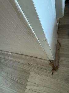 Monarch Istanbul - 36