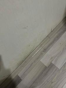 Monarch Istanbul - 41