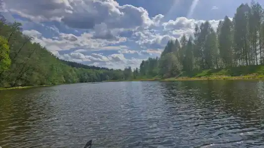 Берендей - 48