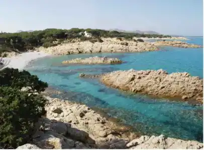 Anticos Palathos - 2