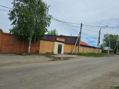 Патрина - 8