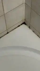 Литейный - 79