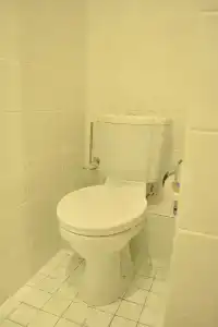 Эсперанто - 80