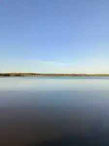 Сосновый берег - 55