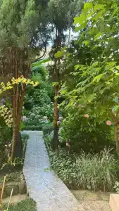 Иван да Марья - 97