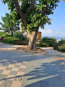 Kleopatra Beach Yildiz - 12
