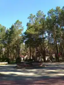 Энергетик - 10