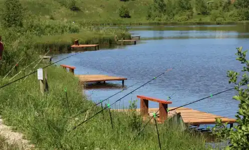 Алешкины пруды - 5