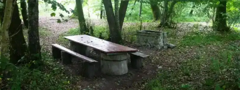 Лебедево озеро - 32