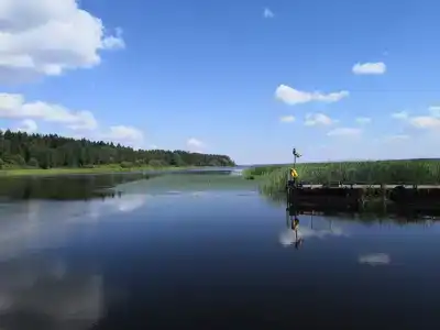 Пихтовая Аллея - 15