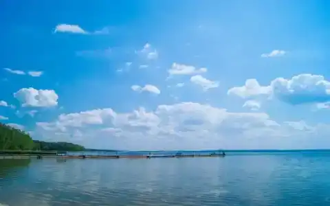 Чайка - 14