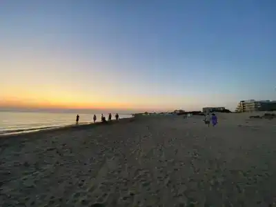 Авдаллини - 54