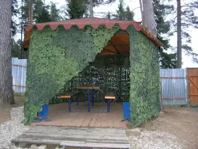 Сказка - 1