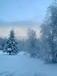 Приют Гремучий ключ - 24