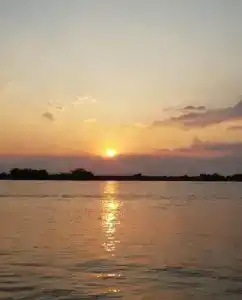 Цветок Лотоса - 0