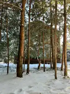 Лу Хаус - 29