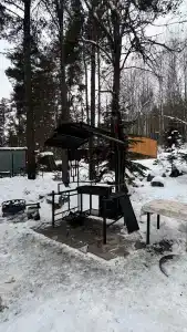Сосны - 41