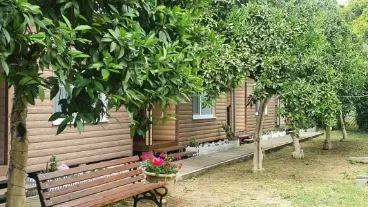 Бриз - 7