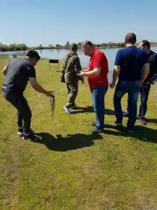 Водолей - 36